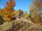 Карпати Славсько осінь