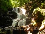 водоспад в Карпатах